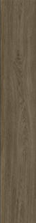 Basconi Home Oak Matt Struct 10mm 20x120