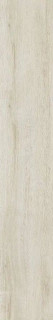 Enping JinGye Oak FOA60121D 20x120