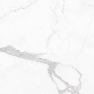 Florina Ceramics Marmogres Statuario Top Honed 120x120H0.9