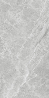 Guangdong Shenghui Ceramics Marbles SH126G008 Rect 60x120