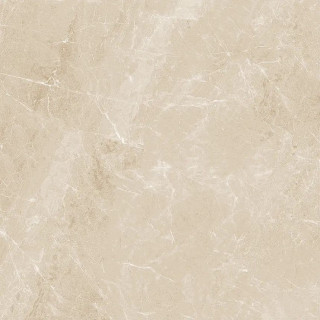 Guangdong Shenghui Ceramics Marbles JA6039OM Rect 60x60