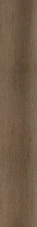 Florina Ceramics Rovere Noce Matt 20x120H0.9