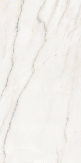 Gani Marble Calacatta 60x120