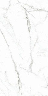 Monalisa Marbles CBP05647M 60x120