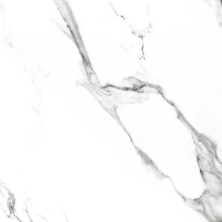NT Ceramic Bright And Shiny BB6NTT9100 60x60