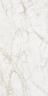 NT Ceramic Marmo Impero Grey Carving 60x120