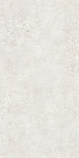 NT Ceramic Terrazzo TZ612NTT9501L 60x120