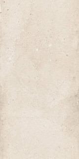 NT Ceramic Rockstar Detroit Matt 60x120H0.85