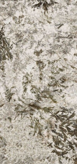 Zodiac Ceramica Frozen Fox Polished (6 мм) 120x260