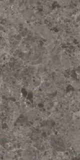 Zodiac Ceramica Cicili Grey Polished (6 мм) 120x260