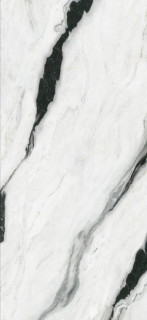 Zodiac Ceramica Panda White Polished (6 мм) 120x270