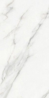 Zodiac Ceramica Massa-H 60x120