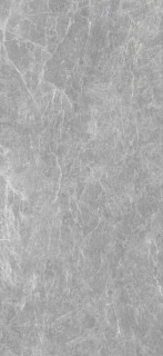 Zodiac Ceramica Iron Grey Polished (6 мм) 120x260