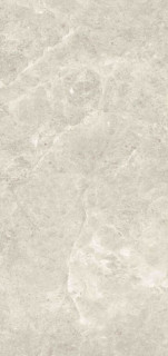Zodiac Ceramica Platinum Leica Polished (6 мм) 120x260