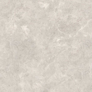 Zodiac Ceramica Platinum Leica Matt (6 мм) 120x120