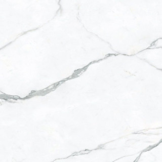 Zodiac Ceramica Statuario Oro Polished (6мм) 120x120