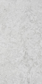 RAK Ceramics Coral Stone Light Grey R10 60x120