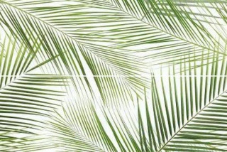 Ceramika Konskie Brennero Tropic Панно 50x75