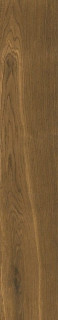 Cerrad Giornata Marrone 60x11