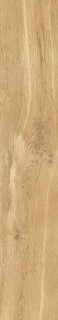 Cerrad Giornata Oro 60x11