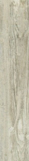 Cerrad Notta White 60x11