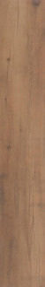 Cerrad Tonella Honey 120,2x19,3