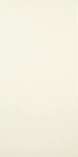 Polcolorit Saloni Beige 25X50