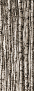 Tubadzin Monolith Epoxy Dekor Birch 6mm 239,8x89,8
