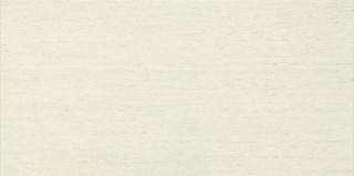Tubadzin Modern Square 2 22,3х44,8