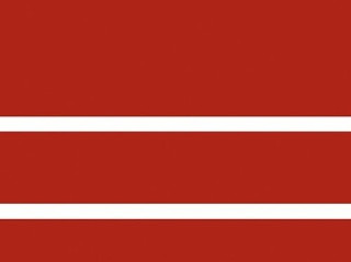 Domino Concept Red Gloss 20/12,4/ 20x60