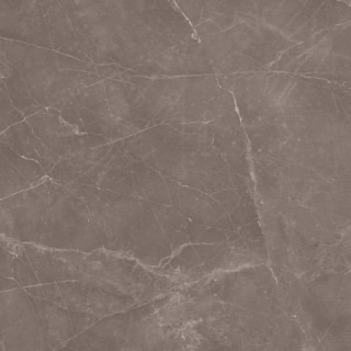 Love Ceramic Marble Tortora Polished 59,2x59,2