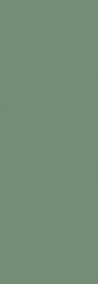 Love Ceramic Genesis Green Matt Rett 35x100