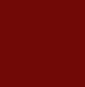TopCer Paris Brick-Red L4420-1Ch Loose 10х10