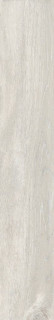 Ametis Daintree DA01 19,4х120