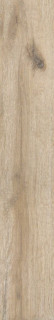 Ametis Daintree DA02 19,4х120