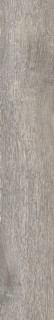 Ametis Daintree DA03 15х90