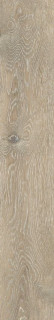 Ametis Daintree DA02 15х90