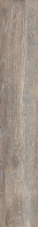 Ametis Daintree DA04 19,4х120