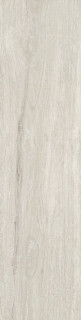 Ametis Daintree DA01 22,4х90
