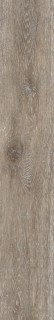 Ametis Daintree DA04 15х90