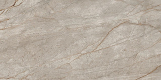Atlas Concorde Empire Silver Root Lapp Ret 60x120