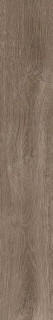 Atlas Concorde Russia Fusion Oak Rustic Matt 20x120H0.9