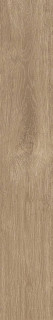 Atlas Concorde Russia Fusion Oak Golden Grip 20x120H0.9