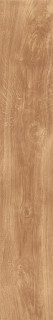 Atlas Concorde Frame Honey Rett 20x120