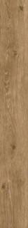 Atlas Concorde Russia Wine Oak Cabernet Mat Ret 20x160
