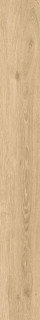 Atlas Concorde Russia Wine Oak Champagne Mat Ret 20x160