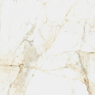 Coliseum Канова Уайт 60x60