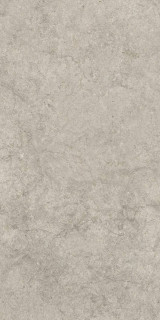 Coliseum Саленто Грэй Нат Рет 60x120H0.9