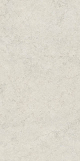 Coliseum Саленто Уайт Нат Рет 60x120H0.9