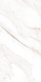 Creto Calacatta Gold Polished 60x120